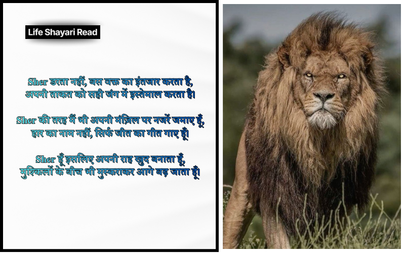 Sher Shayari