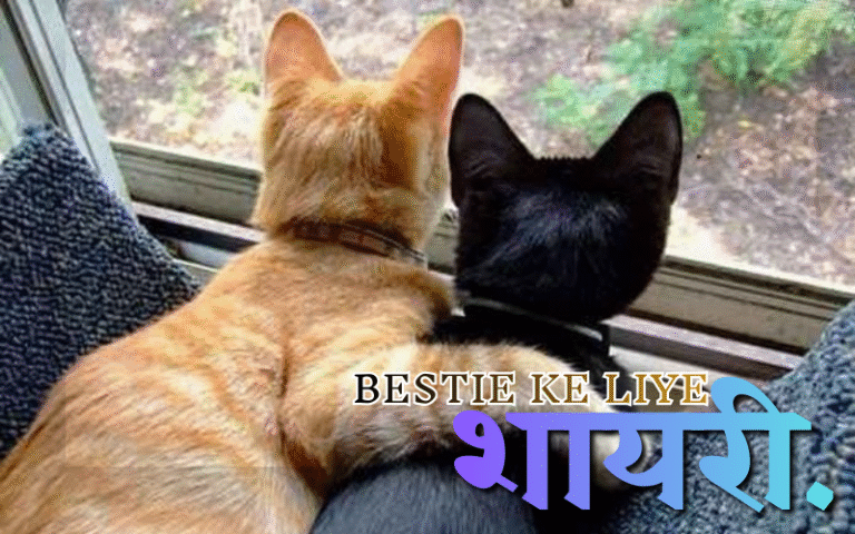 Bestie Ke Liye Shayari