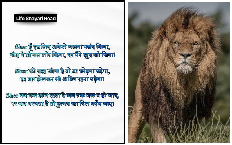 Sher Shayari