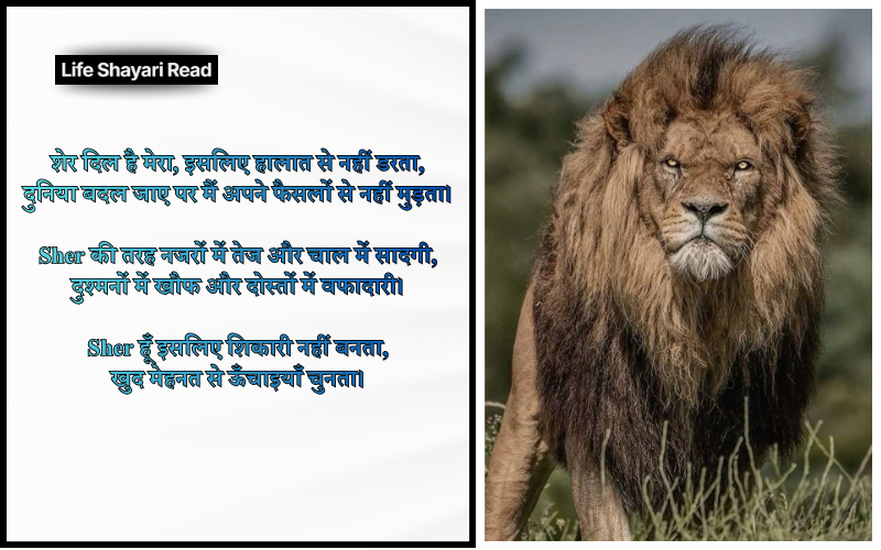 Sher Shayari