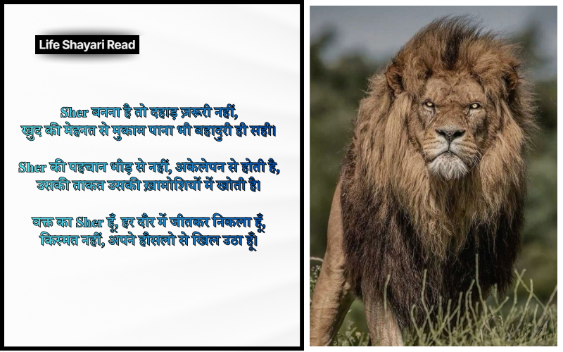 Sher Shayari