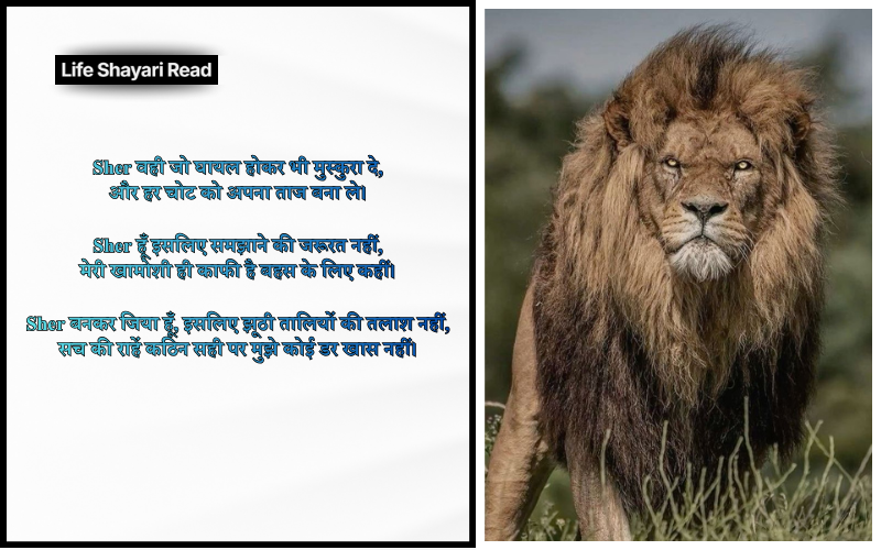 Sher Shayari
