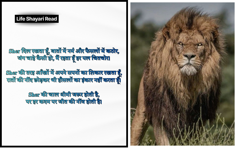 Sher Shayari
