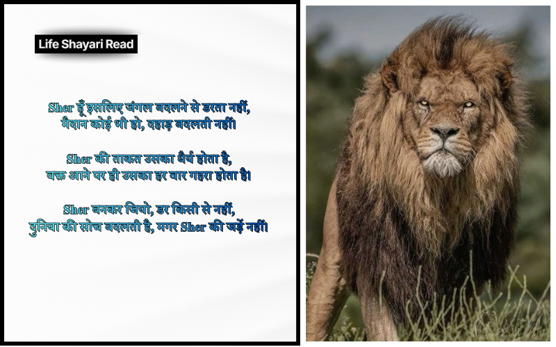 Sher Shayari