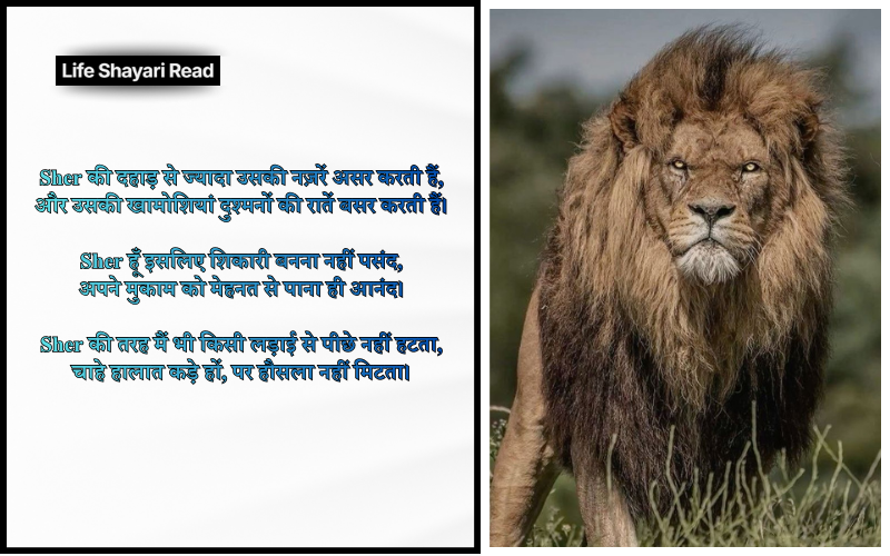 Sher Shayari